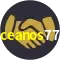 Partnerships